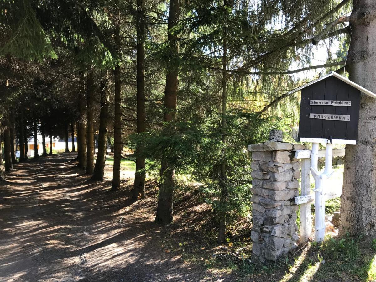 Borszowka Dom Nad Potokiem - Pensjonat Szklarska Poręba Esterno foto